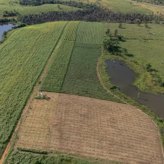 Implantação de agroflorestas