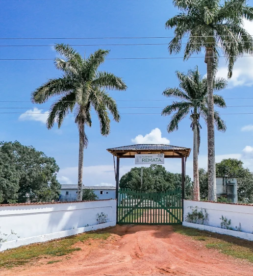 Sistemas Agroflorestais